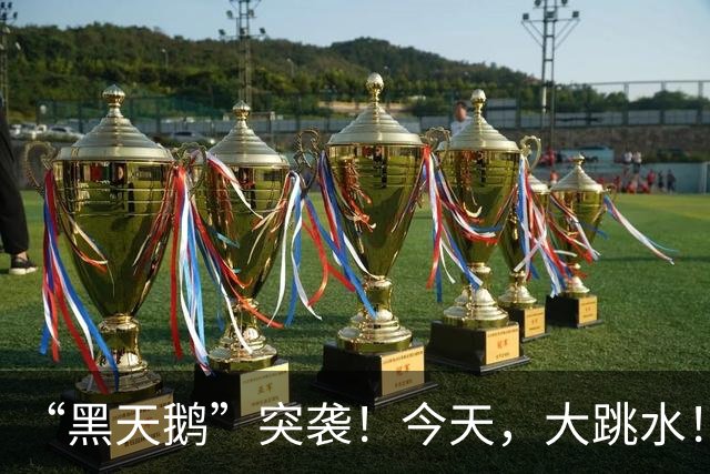 “黑天鹅”突袭！今天，大跳水！