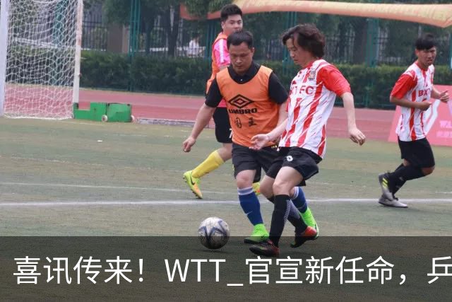 喜讯传来！WTT 官宣新任命，乒乓美女升职，扛起总监重任！